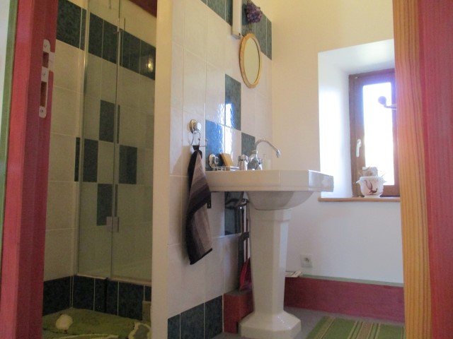 salle de bains hôtes (Small) salle de bains hôtes (Small)